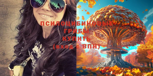 а пвп мука Арсеньев